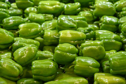 Svježa zelena paprika na prodaju na pijaci. Paprike u trgovini.