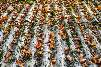 Suho lišće na krovu kuće u jesen