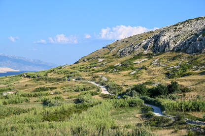 Priroda na otoku Pagu, Hrvatska.