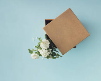 Bijelo cvijeće u smeđoj kutiji / paketu za poklon na plavoj pozadini.
