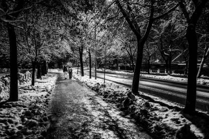 Smrznute grane sa snijegom na ulici i dvoje ljudi u šetnji, Zenica noću.