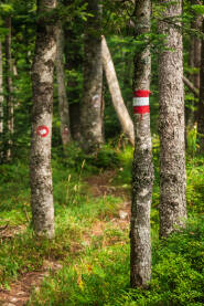 Planinarske oznake ili signalizacija, su osnovni znakovi na koje nailazimo na označenoj planinarskoj stazi.