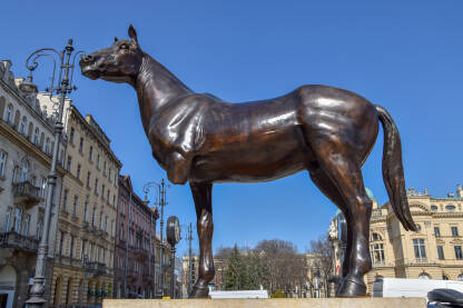 Statua konja sa tri noge u Krakovu, Poljska. Statuu pod imenom Živimo (Żieme), napravio je Austin Camilleri. Konj bez jedne noge.