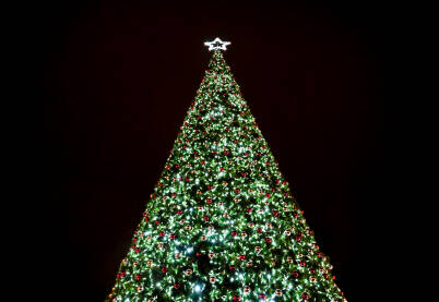 Ukrašena božićna jelka sa LED svjetlima i crvenim ukrasima od kuglica. Šareni ukrasi i lampice na granama zimzelenog drveta.