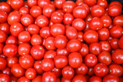 Crvene rajčice za prodaju na tržnici povrća. Kutije pune rajčica u trgovini. Svježa rajčica na štandu u piljari. Zreli crveni paradajz u marketu. Povrće.