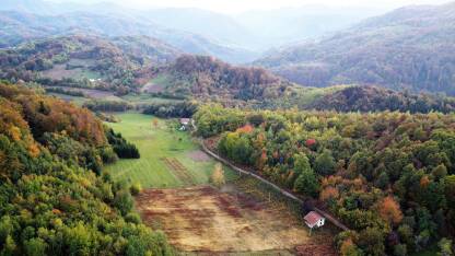 Panorame šumskih predjela.