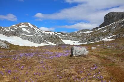 Visočica je planina u Bosni i Hercegovini, južno od Bjelašnice, najvišeg vrha Džamija 1967 m.