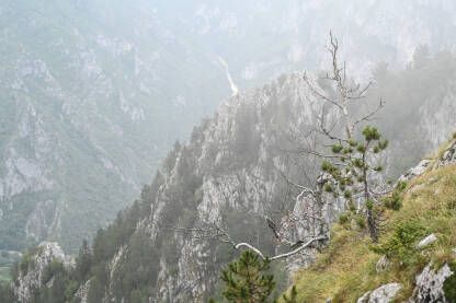 Kanjon rijeke Tare i planina Durmitor. Magla na planini. Crna Gora.