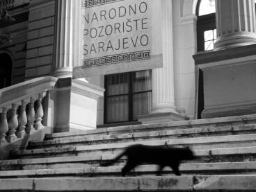 Mačka na stepeništu Narodnog pozorišta