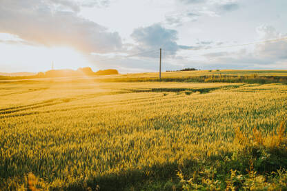 Zalazak sunca iznad polja