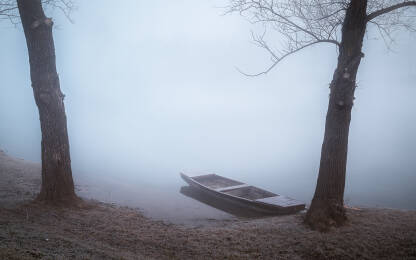 Zimsko jutro u šumi. Mističan, tajnovit prizor tokom zime.