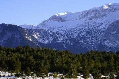 Planina Čvrsnica pod snijegom Vrhovi planine Čvrsnice, sa preko 2000 mnv, pod sniježnim pokrivačem
