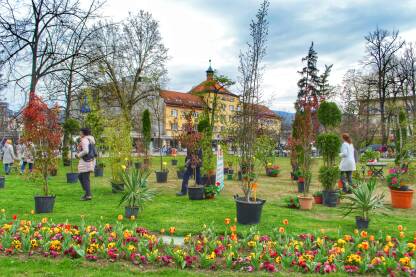 Festival cvijeća u parku Petar Kočić.