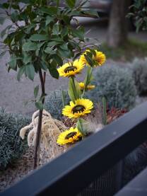 Umjetno zuto cvijece suncokret, koje je postavljeno pored ograde.