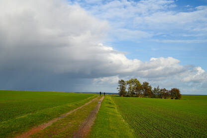 Ljudi voze bicikl kroz polje prema moru. Sjeverna Njemačka. Polje u blizini Baltičkog mora.