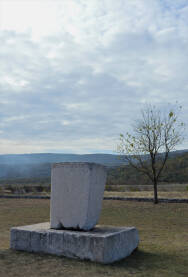 Arheološko nalazište Radimlja kod Stoca, pogled na usamljeni stećak