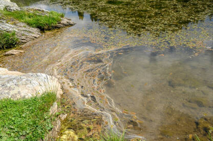Zagađena rijeka. Prljava voda u prirodi. Kanalizacija se izlijeva u jezero.