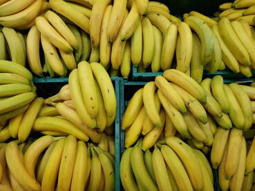 Banane u gajbama na polici u prodavnici - prodaja svježeg voća;
