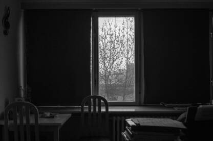 Fotografije nastale u garsonjeri na Skenderiji sa početka izolacije sa ciljem oslikavanja duševnog stanja osobe u vrijeme lockdowna.