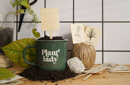 Keramička šolja sa zemljom i oznakama za sadnice začinskog bilja.