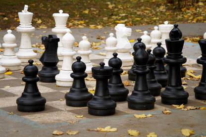 Šah sa velikim figurama u parku.