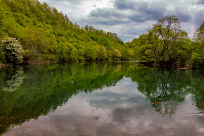 Refleksija šume u rijeci Uni. Bosna i Hercegovina.