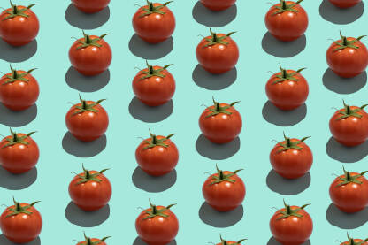Uzorak od svježe rajčice / paradajza na plavoj pozadini.