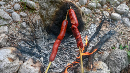 Roštiljanje kobasica na vatri i žaru. Pečene kobasice. Kampovanje u prirodi.