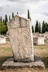 Nekropola Radimlja je po svojim likovnim odlikama jedna od najvrijednijih i najznačajnijih nekropola stećaka u Bosni i Hercegovini, ali i općenito. Nalazi se u Vidovu polju, 3 km zapadno od Stoca, na