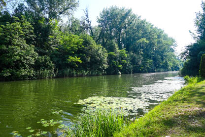 Riječni kanal okružen šumom.