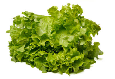Svjeza zelena salata na bijeloj pozadini