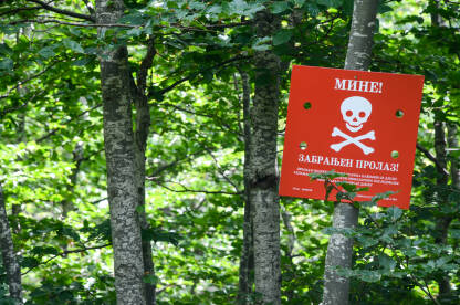 Upozorenje na blizinu minskog polje u šumi. Mine. Crveni znak minskog polja u Bosni i Hercegovini. Znak upozorenja: Mine, zabranjen prolaz.