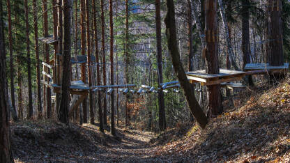 Šumska staza iznad koje se proteže dio adrenalinskog parka