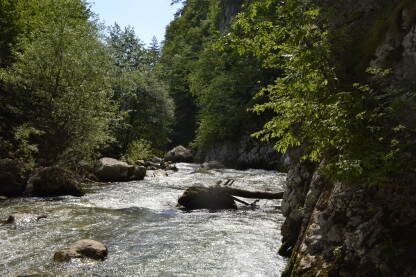 Rijeka Bistrica, Foča