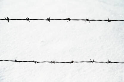 Bodljikava žica nasuprot bijelog snijega. Zahrđala metalna žičana ograda. Simbol koncentracionog logora, zatvora i granica.
