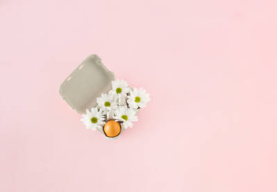 Jaje i cvjetovi bijele margarete ili ivančice poslagani u kartonsku kutiju za jaja.