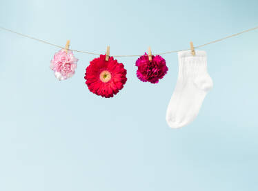 Cvijeće i čarapa na štriku za rublje.