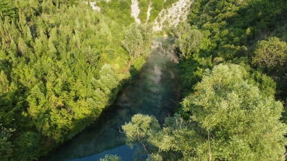 Izvor rijeke Bunice predstavlja jedinstvenu atrakciju na području Hercegovine. Okružen je sivo-bijelim liticama visokim i do 200 m na kojima rastu usamljene biljne vrste. Površina samog izvora je mirn