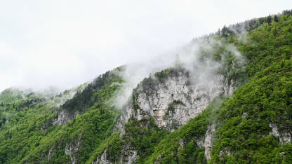 Magla i oblaci na planini. Duboki riječni kanjon u proljeće. Zeleno drveće na planini, snimak dronom. Planina Vlašić.