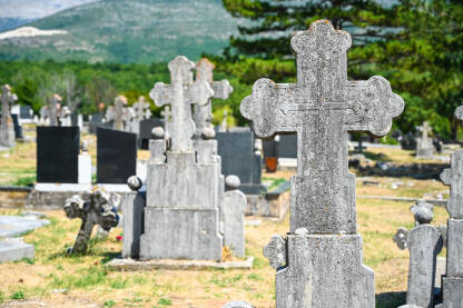 Križevi na groblju. Nadgrobni spomenici na starom groblju. Grobovi na starokršćanskim grobljima.