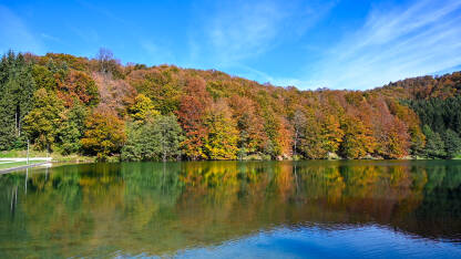 Odraz šarenog drveća u vodi u jesen. Boje jeseni na jezeru. Jezero Balkana.