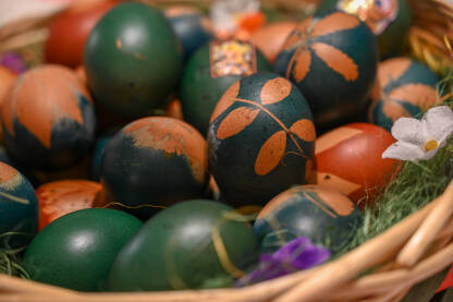 Korpa puna jaja, ofarbanih u plavo. Šaranje jaja za pravoslavni praznik Vaskrs. Ukrašavanje jaja pomoću biljaka.