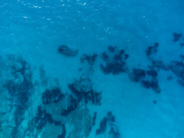 Snimak dronom na prozirnu morsku vodu ljeti. Podvodni grebeni, pijesak, kamenje i morska trava. Valovi na tropskom moru.