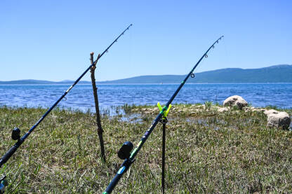 Štapovi za pecanje uz vodu. Ribolovni pribor uz jezero. Slatkovodni ribolov. Buško jezero.