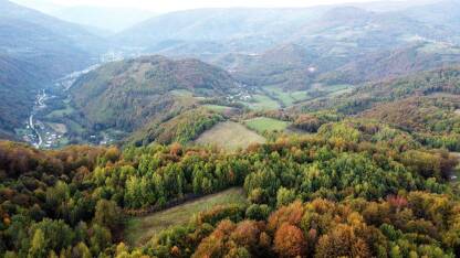 Panorame šumskih predjela.