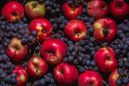 Sezonsko voće iz ekološke proizvodnje: crvene jabuke i crno grožđe u krupnom kardu.