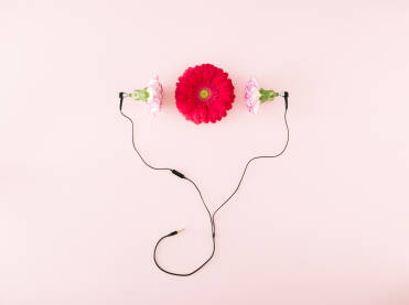 Crveni cvijet sa slušalicama izrađenim od roze cvjetova.