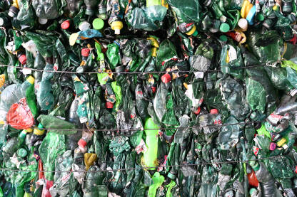 Presovane plastične boce spremne za reciklažu. Zelene plastične boce. Recikliranje otpada.