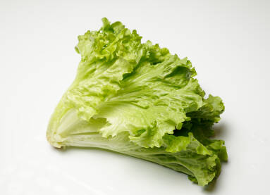 Svježa zelena salata na bijeloj podlozi