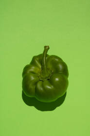 Svježa zelena paprika položena na zelenoj pozadini.